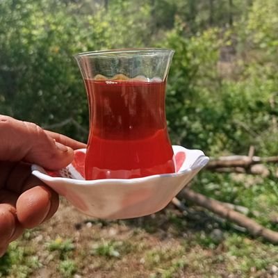 Mtasci34's profile picture. Ankara 👍🏻