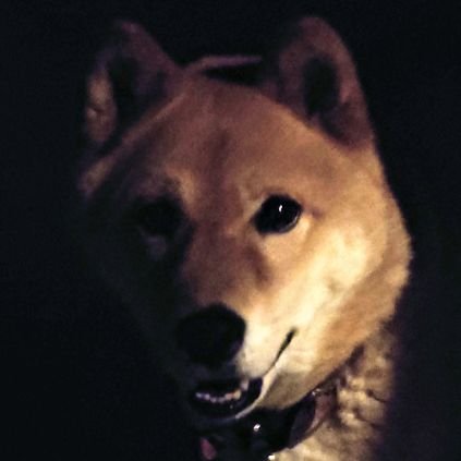 奥戸えむさんのプロフィール画像