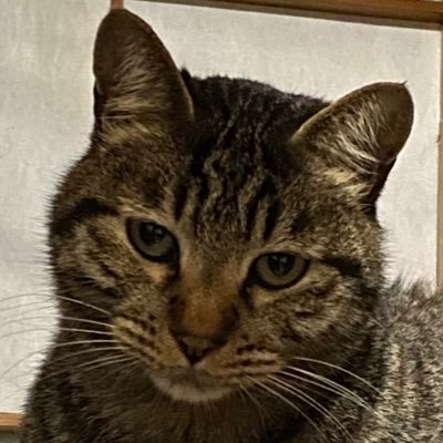 io3_10san's profile picture. 副業興味ある 頑張ってみたい！