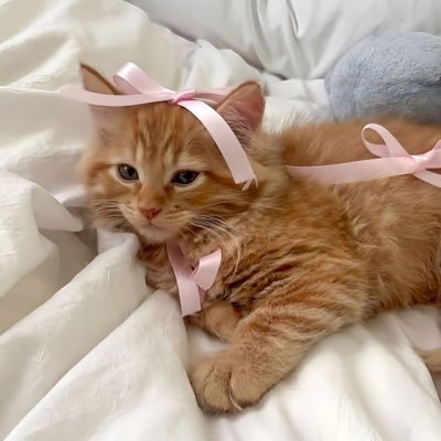 freakoffaleashh's profile picture. 19~ bisexual ~ cnc ~ slut for older men~ 𝓕𝓻𝓮𝓪𝓴