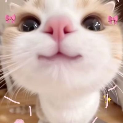 xayahkilang's profile picture. 