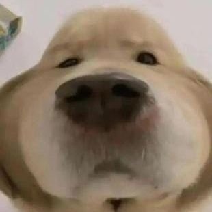 Novyz_s's profile picture. 