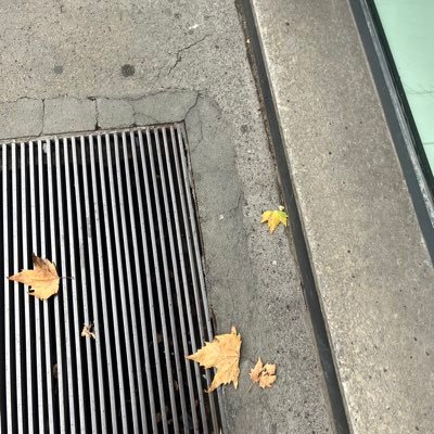 AlexNash21's profile picture. 