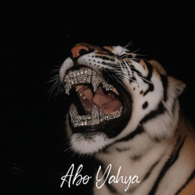 TheGreatAYK's profile picture. Himself