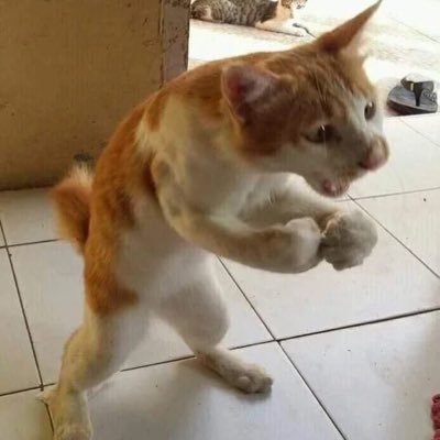 Elmexicano____'s profile picture. 