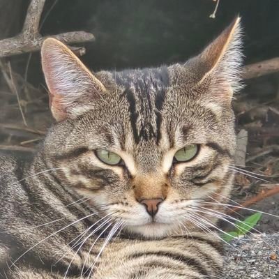 tim_rasul's profile picture. 