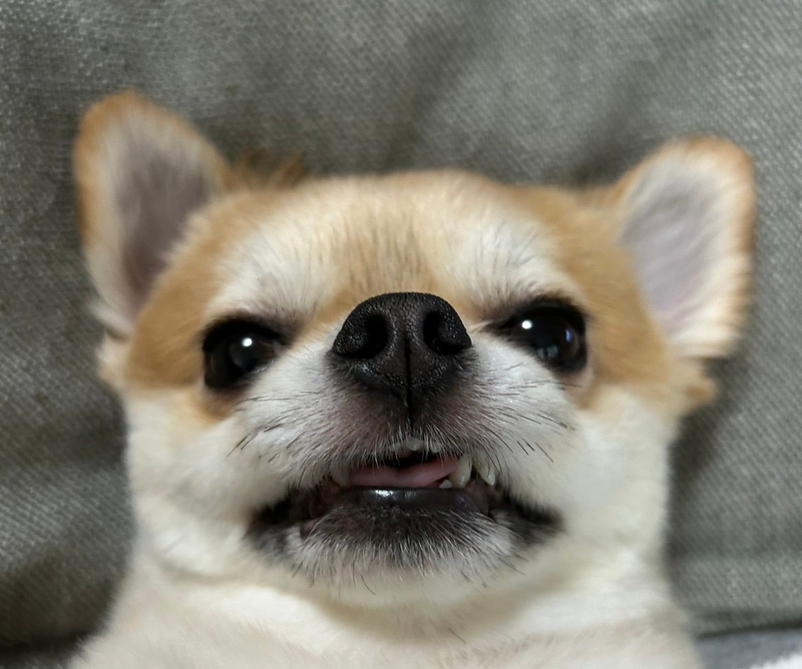 kohaao611's profile picture. 