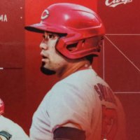 かやしま 🎏カープ (@fusimi_momoyama) 's Twitter Profile Photo