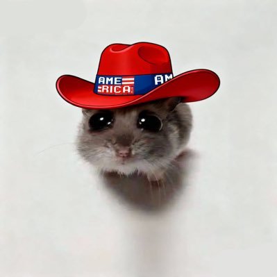 Biach539707's profile picture. I’m so sad 🇺🇸🦅