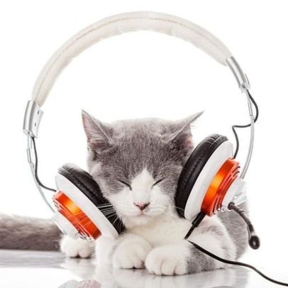 MUSICALFAC51860's profile picture. 
