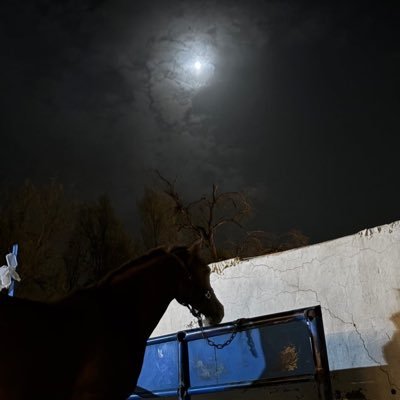 Jabaraiar's profile picture. قانوني ومؤلف كتاب ألف جملة قانونية للربط بين الفقرات