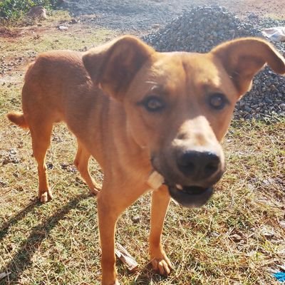 koomesupa's profile picture. Just. Rich man with bad intentions