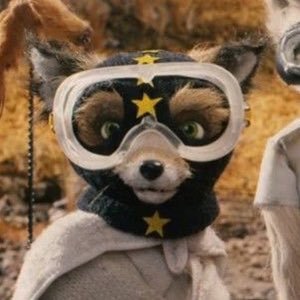 FloralSensory's profile picture. Just tweeting about whatever I’m currently into. I’ve been doing this for 9 years now so don’t mind me.