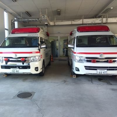 kyuukyuusyazuki's profile picture. 