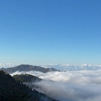 xmmluvsg's profile picture. Dm to lewd about girls | 🇸🇬 | Dm open for tribs