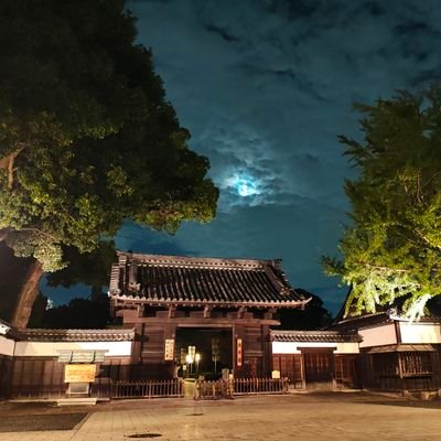 ganma_suzuki's profile picture. #エンクリ
#ドルウェブ
#クルスタ
#スイメド
#マブガル

で楽しく遊んでいるファンザぱんつ紳士です。
人の悪意憎悪を見るの嫌いなので
運営公式・ナイスなイラスト・攻略情報となんか助平ゲーな話以外は
TLほぼ見ないようにしています。

大当たり報告と絵に描いたおぱいと尻の話だけをしようじゃないか！