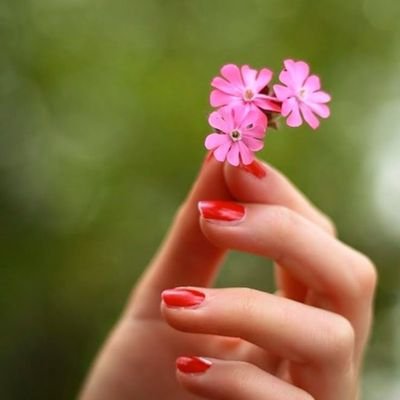 ocean_islove's profile picture. A well-rounded chaos!