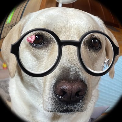 もちもちｱｲｽ 求肥さんのプロフィール画像