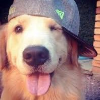 ccnvd's profile picture. 크오라서안된다?이말이이해가안돼.. 이미사귀는연인한테크오가먼말인데..