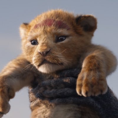 yeppiii_simba's profile picture. 社会人🫧/新入りONEDOORです🐈🐈‍⬛🐠