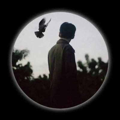 naser_alansi's profile picture. I am still searching for myself