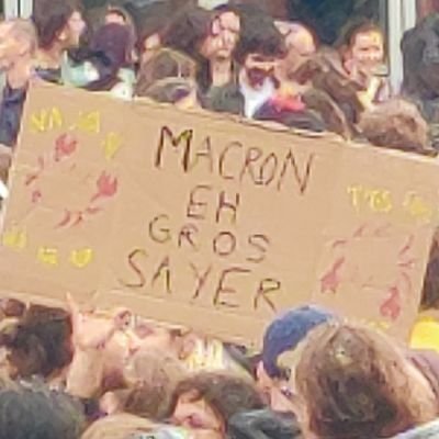 baicheRel's profile picture. 