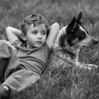 🔥𝒎𝒂𝒉𝒎𝒐𝒖𝒅🔥 (@_i2_3) 's Twitter Profile