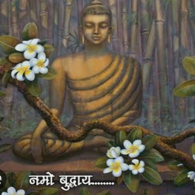 Meeni_sonu22's profile picture. जय भीम 💙 नमो बुद्धाय