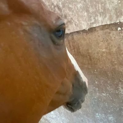 QingRen_101ccf's profile picture. Hello The World