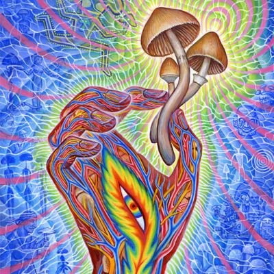 bristolcokeman's profile picture. only response to message on telegram click link below for purchase 
👇👇👇👇👇👇👇
https://t.co/E4yBsQLBPI