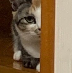 wacanme's profile picture. 