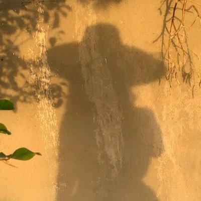 سادة