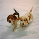 Michael Stump - @MichaelStu50342 - Twitter