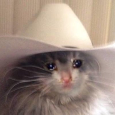 sailorlegs's profile picture. 