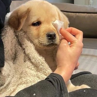 P41D3N06GH's profile picture. 덴지 사실은 말야 나도 무브온 해본 적이 없어