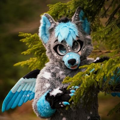 Tschipaw's profile picture. ⚠️Might Bite⚠️ | 
Just a Starborn Wolf with floppy wings | Artist | 24 | 🏳️‍🌈 | 💙💜💗 | 🇩🇪 | Any Pronouns                           
🪡: @Storm_workss