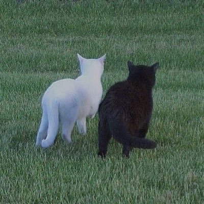 chaeri_123's profile picture. 