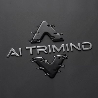 ai_trimind's profile picture. We’re building an immersive simulator that helps leaders turn inner chaos into working structure. Join us on this journey into the future of leadership.
