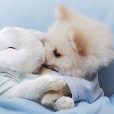 nnnkamon16's profile picture. มะมี๊รักลูกทุกคน : Kong Namping FirstOne TeeTee // Almond ☁️ เจมโฟ๊ด นูนู่ โต๋ยแอ //🐱Nananu //🌻🪥KhunNoo //🍦🍼 BEUS //แอสตัน🎀