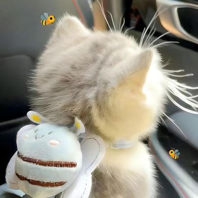 foxglovesim's profile picture. ִֶָ         blooming  softly  like  petals  in  the  morning  light   ✶