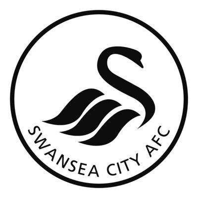 JRT641811679262's profile picture. Swansea City⚪️⚫️ ,Wales 🏴󠁧󠁢󠁷󠁬󠁳󠁿 ⚽️