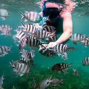 KGhoorah's profile picture. Exploring the universe, from particle physics to mountain peaks. A free spirit at heart.