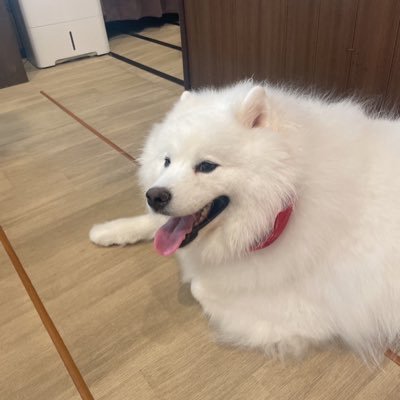 Praivaite's profile picture. 【フリーランス1年半】楽しい人生を送りたい