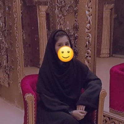 maila1548080's profile picture. Frontend Developer | Next.js, Tailwind CSS, JS, TS, Python | Prompt Engineer | Exploring Agentic AI 🚀