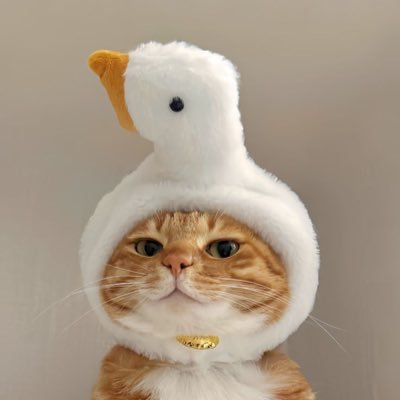 bbaitoeypokpok's profile picture. 🍞🧸🌿