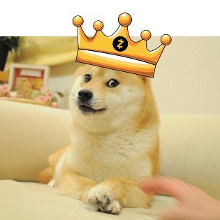 thezoge's profile picture. @zooko’s and @namada's intern. Memetic ZK monk. Encrypting chains with $ZEC & $NAM 🛡️