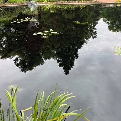 xcryptomedia's profile picture. 