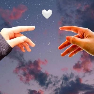 MohiRabb22984's profile picture. 