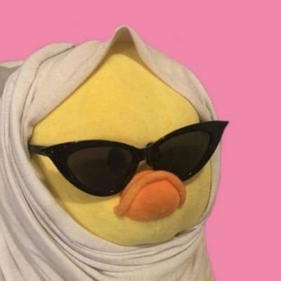 patitoconflow's profile picture. Repartera, complejo de salvadora, migajera y otros problemas mentales no diagnosticados