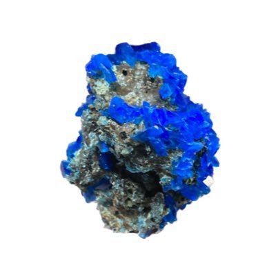 valuablegeode's profile picture. Smartest guy on butt island